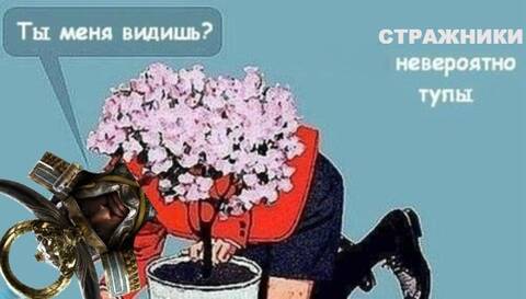 https://forum4.ru/uploads/001c/58/e1/3/t314841.jpg