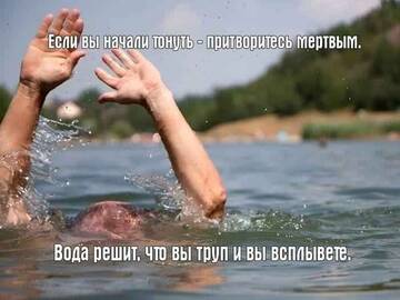 https://forum4.ru/uploads/001c/58/e1/3/t514405.jpg