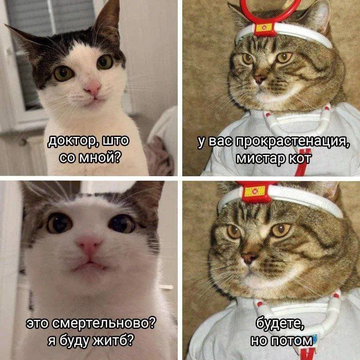 https://forum4.ru/uploads/001c/58/e1/3/t560632.png