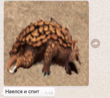 https://forum4.ru/uploads/001c/58/e1/5/t191486.jpg