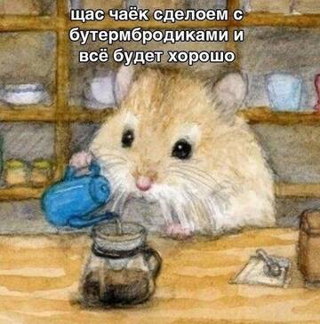 https://forum4.ru/uploads/001c/58/e1/5/t321516.jpg