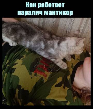 https://forum4.ru/uploads/001c/58/e1/5/t635986.jpg