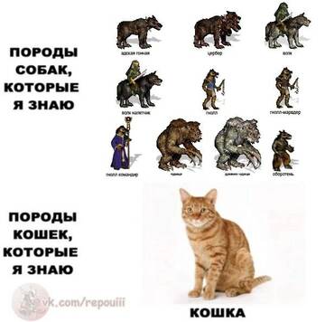 https://forum4.ru/uploads/001c/58/e1/5/t752809.jpg