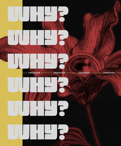 https://forum4.ru/uploads/001c/61/20/17/194430.png