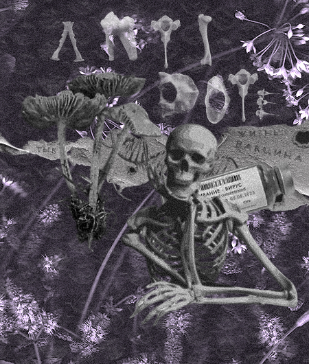 https://forum4.ru/uploads/001c/6d/01/2/386379.png