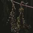 https://forum4.ru/uploads/001c/71/2c/42/69022.png