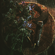 https://forum4.ru/uploads/001c/71/2c/42/825989.png