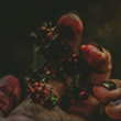 https://forum4.ru/uploads/001c/71/2c/42/847697.png